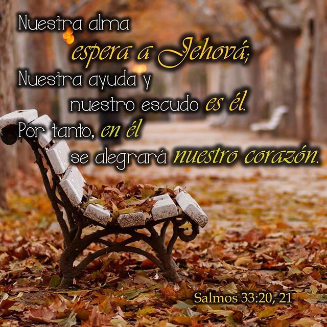 Bienvenida divina: Explorando un texto bíblico de bienvenida en la palabra de Dios