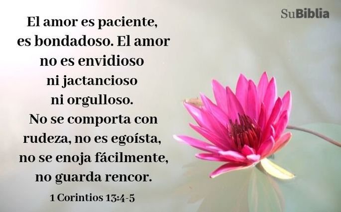 El amor de pareja en los textos bíblicos: Un vínculo sagrado y eterno