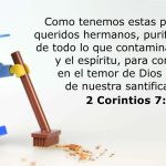 Limpiar la Casa de Dios: Textos bíblicos que nos enseñan sobre la pureza y el orden en el templo divino