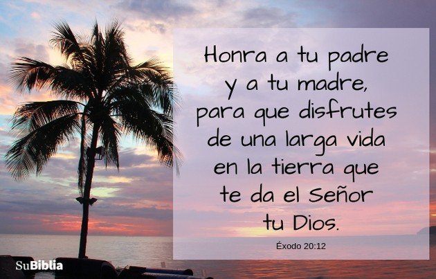 Textos bíblicos para honrar a las madres en su día sagrado
