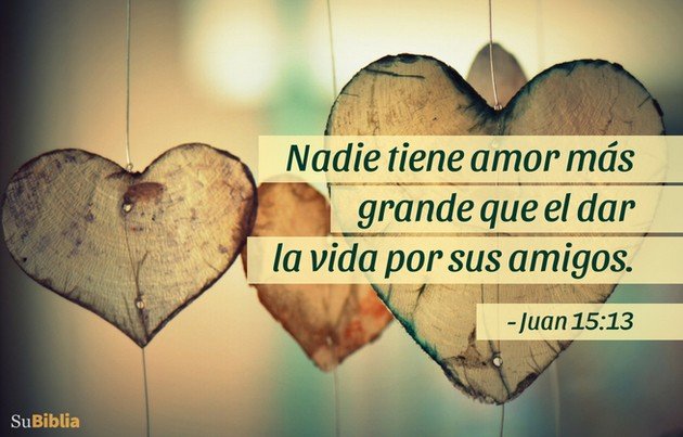 Textos bíblicos que revelan el amor incondicional de Dios | textos