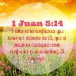 Textos de poder en la oración: inspiración para fortalecer la fe en nuestros hogares con pasajes bíblicos