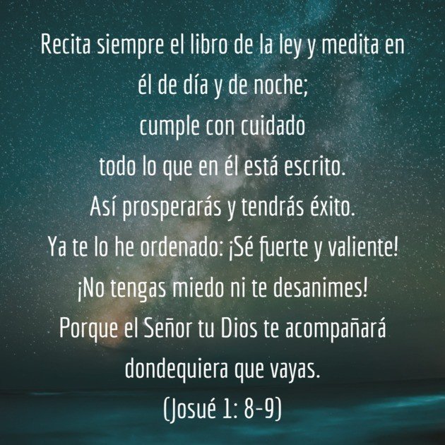 Textos de reflexión bíblica: una guía para fortalecer tu fe y encontrar inspiración divina