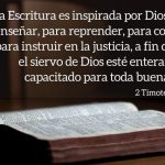 Versículos y textos bíblicos para reflexionar: Encuentra inspiración en la Palabra de Dios