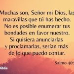 Versículos y textos bíblicos para reflexionar: Inspiración divina para tu vida diaria